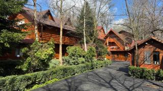 Pensiunea Casa Verde Bucuresti - 9