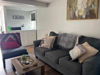 Camia Inn- Newly Renovated Basement - 9