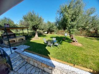 Olive Harmony House - 7