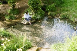 Ocean view cabin - 5