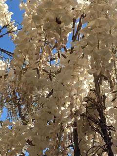 Draisina Bike Apartments UNO - 8