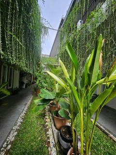 Rumah Tropis - Lantai 1, single room - 1