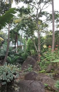 The Eden of Morogoro at MtoMawe - 3