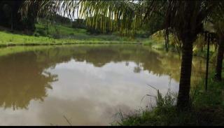 Sitio Boa Esperança - 4
