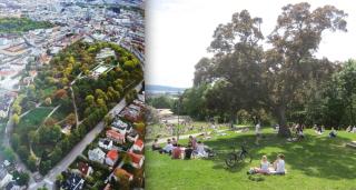 Central in Oslo with panoramic view - 6