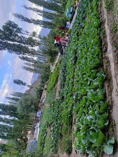 Chamspal zotpa home stay - 3