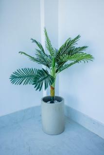 Platinum Luxury Apartment With Balcony - 8