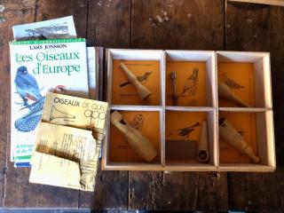 Une nuit en CABANE dans la Forêt - 7