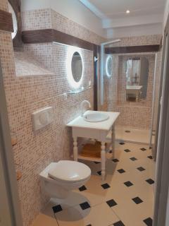 Appartement dans un château à la campagne - 7