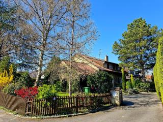 rest in a garden - 0