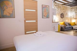 Valentine - Authentic Design Large Studio Notre-Dame Seine Walk - 5