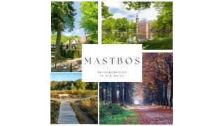 Studio with kitchen in Breda city center - 2