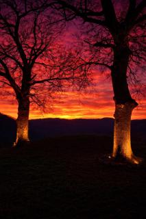 La Corte Di Ranco - 3