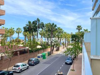 Garden Home, 1ª Línea, Magic World - 7