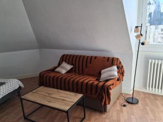 Chambre dans le vieux quartier de Laval - 7