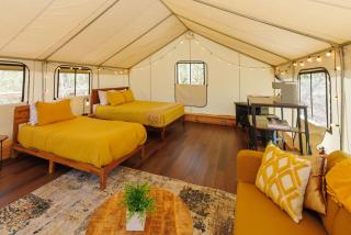 The Goldfinch's Nest - Glamping Tent with AC - 7
