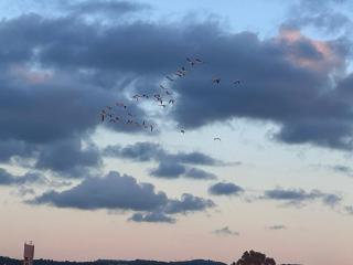 The Turquoise Suite on the Sea Trail, Atlit - Atlit - 7