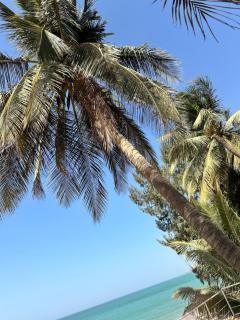 Villa de la plage - 9