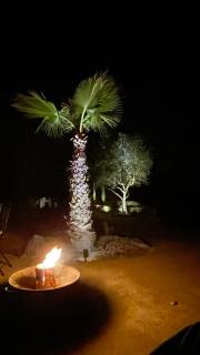 Ferienvilla in der Provence in großem Garten - 6