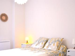 Le Chaud Vin - Centre historique Albi - Zone Unesco - Animaux acceptés - 4