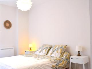 Le Chaud Vin - Centre historique Albi - Zone Unesco - Animaux acceptés - 2