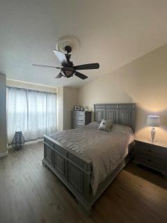 Bullfrog Lullabies - 1