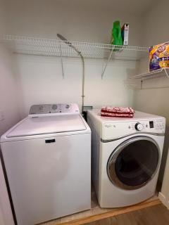 Bullfrog Lullabies - 1