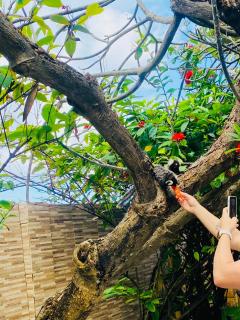 Pousada Bossa Nova - Maceió - 3