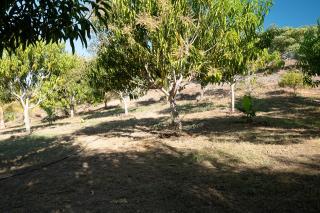 BosqueEscondido Habitación Lujan - 7