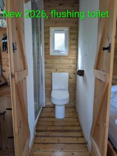 Dryw bach glamping hut - 9