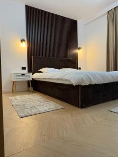 Borșa ApartHotel 5 - 4