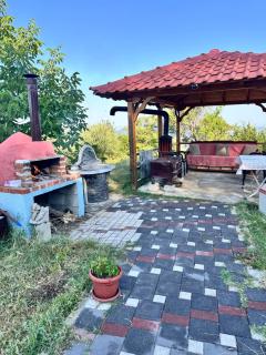 Bodini Mountain House - 9