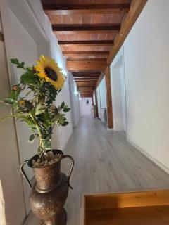 Guesthouse Alberti Llogara - 8