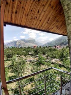 The Serene Walk - Manali - 5