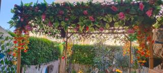 Cabourg - Cabourg - 0