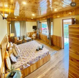 The Serene Walk - Manali - 6