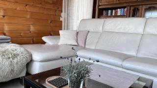 Ferienhaus Waldliebe - 1