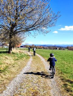 5Sterne Ferienwohnung im Fachwerk mit Bergblick in Alleinlage und großem Garten, Infrarotkabine - 8
