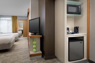 SpringHill Suites Potomac Mills Woodbridge - 9