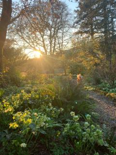 Maristow Cottages, overlook Tamar Valley Dartmoor - 8