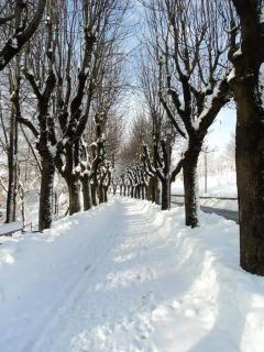Piccolo Marconi - Giardino di Marconi - 3