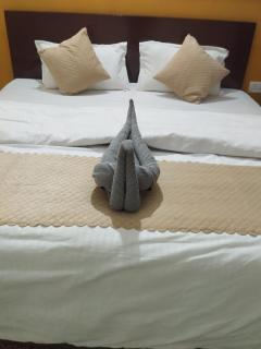 Rajvin Heavens Resort - 5