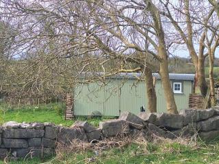 Shepherds Hut Galway - 8
