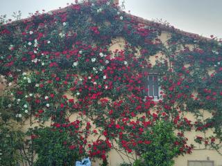 Studio_en_Roussillon - 9