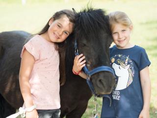 Ferienhof Henn - Weikersheim - 9