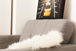 Cozy Studio - Dachgeschoss - Wien 15 - 1