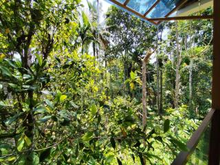 Spice Garden Clove Villa - 5