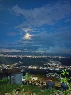 Green Apartment el prado - 7