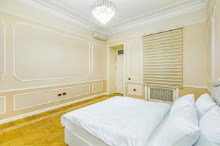 7 Bedroom Luxury Apartment in Nizami street - 3