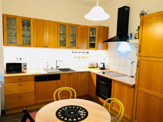 Comfortable&Cozy apartment in the heart of Prague - 8